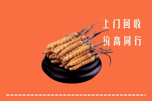 营口市西市回收冬虫夏草