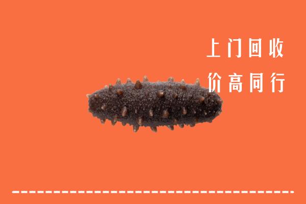 营口市西市回收海参