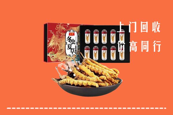 附近收购：营口市西市回收虫草